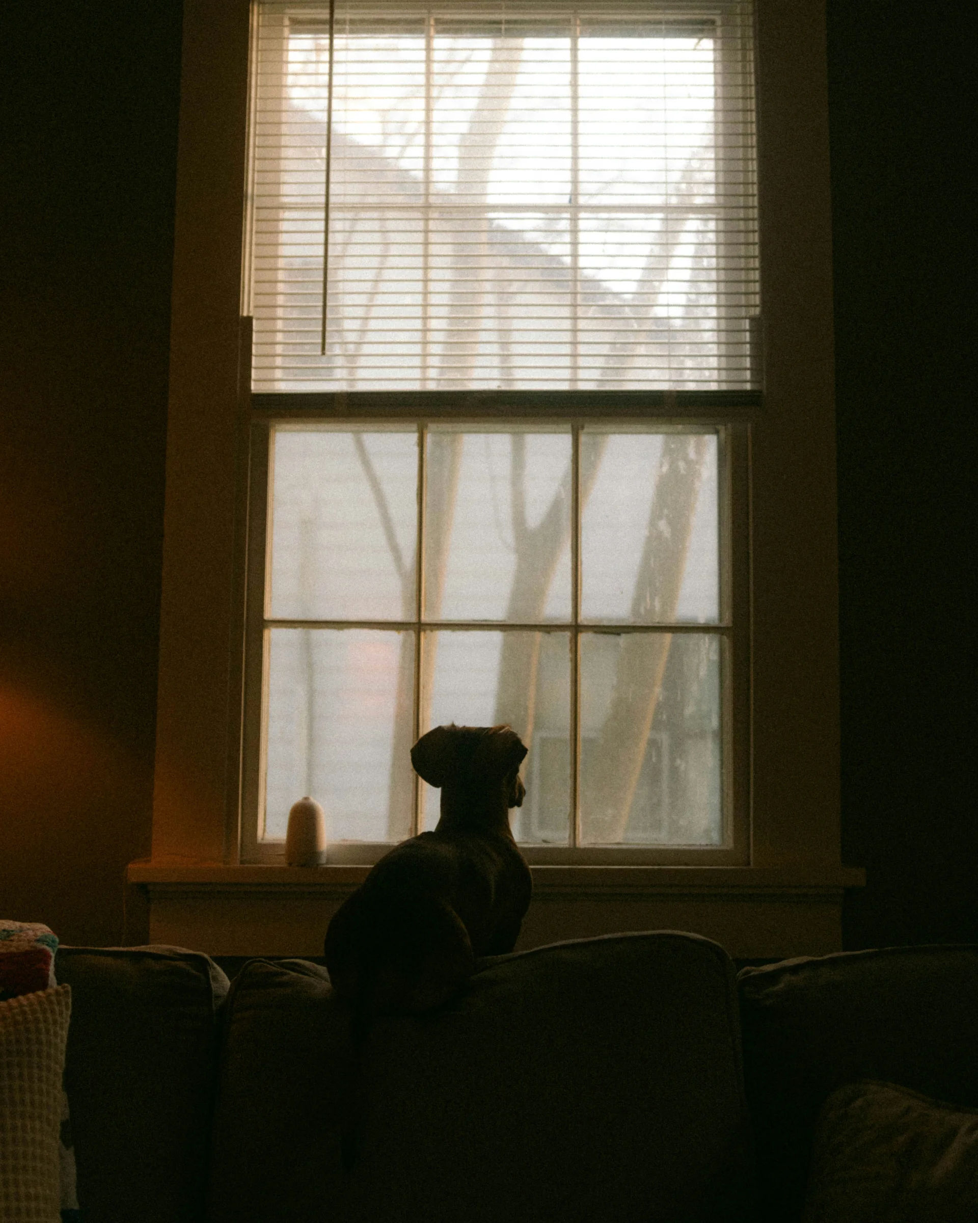 blake-cheek-jp3PNoFsA2s-unsplash